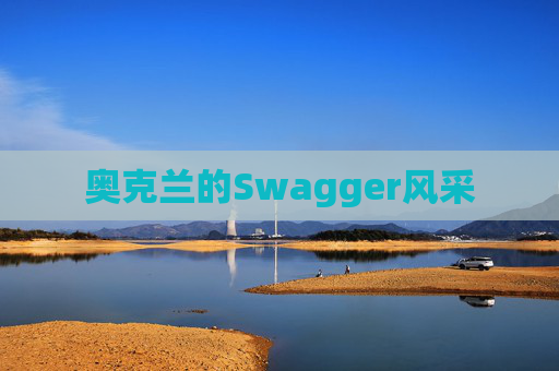 奥克兰的Swagger风采