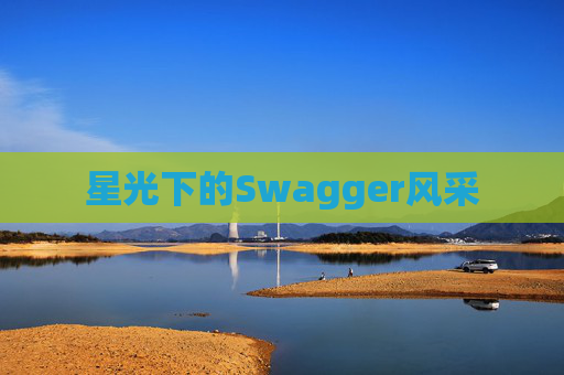 星光下的Swagger风采